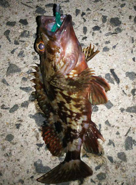 ドリームアップ