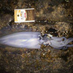 初めての場所で