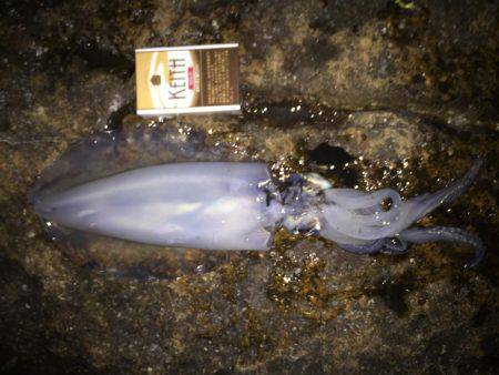 初めての場所で