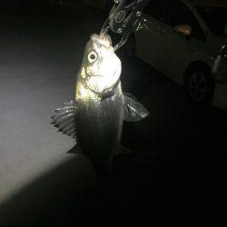 バチバチバチバチバチバチバチバチババチバ