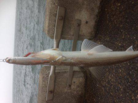 エソワンガシワン