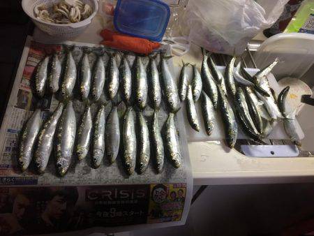 初めてのサビキ釣りやってみました！