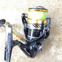 エギング薄し  エソ、ベイト多し