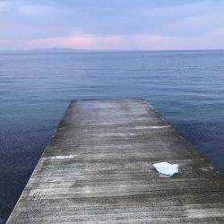 キス居てたー！