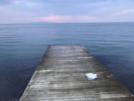 キス居てたー！