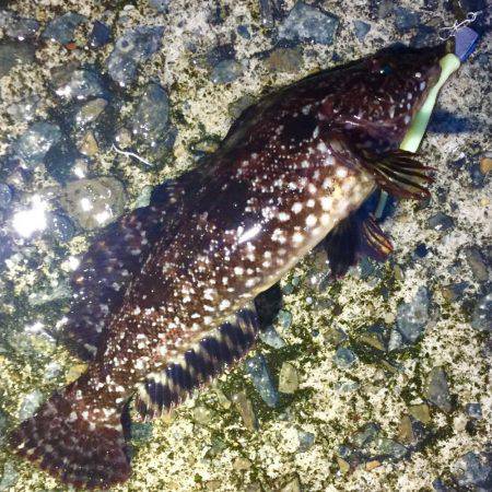 グランドスラム