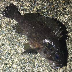 マイクロサイズ