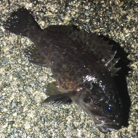 マイクロサイズ