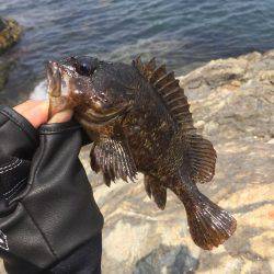 初 沖磯・チヌ釣り