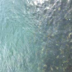 大判、小判じゃなくて銀登場!