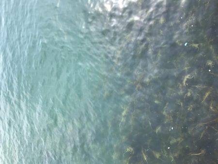 大判、小判じゃなくて銀登場!