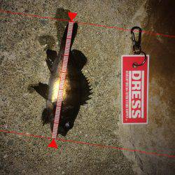 メ…メバリング！！