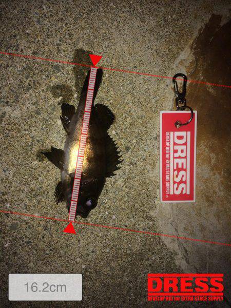 メ…メバリング！！