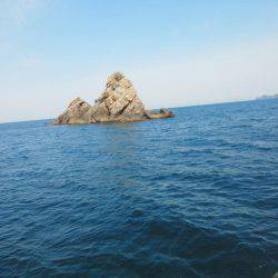 今回もグレ厳しかった・・