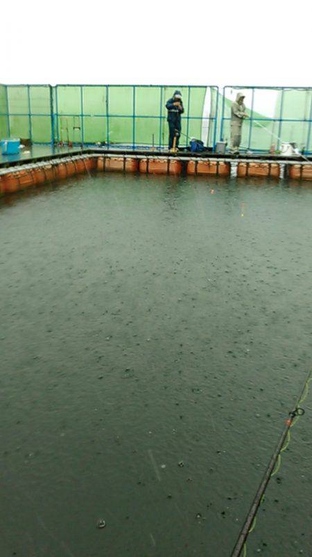 カタタの釣り堀にてカンパチ、ヒラス狙い