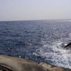 ショアジギボウズではない