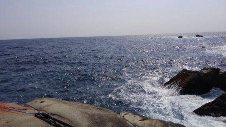 ショアジギボウズではない