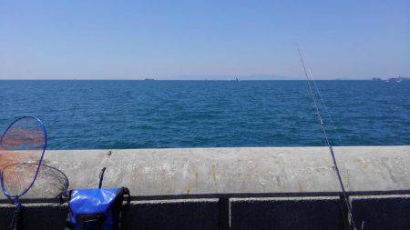 エソ釣りのつもりがイワシ釣り