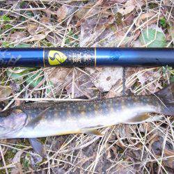 今年初の鳥取県河川釣行