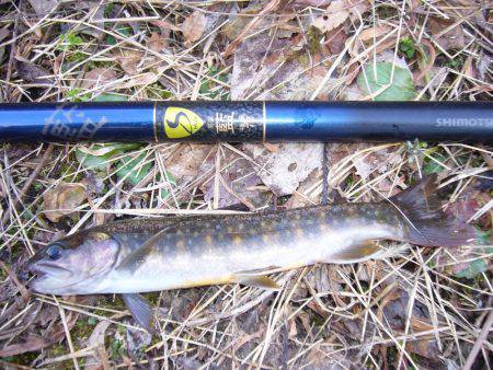 今年初の鳥取県河川釣行