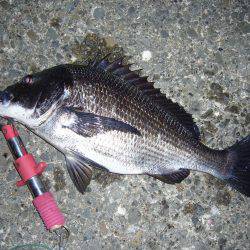 チニングにてようやく本命をGET(σ・∀・)σｹﾞｯﾂ!!