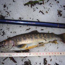 鳥取県河川釣行