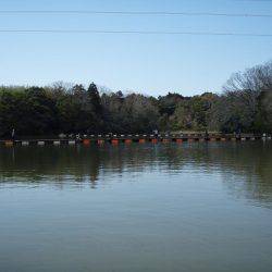 大安トラウトレイク 釣果