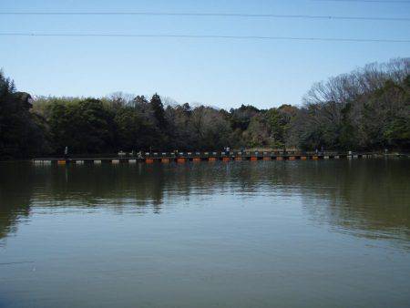 大安トラウトレイク 釣果