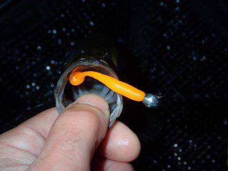 嵐の後の爆釣！