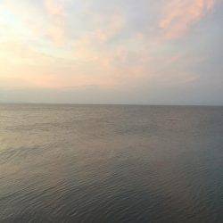 南風メバリング!