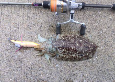 爆風でも何とか