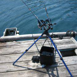 アオリイカ、デカイカ求めて筏編！