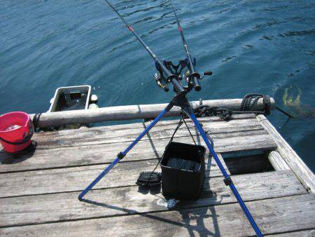 アオリイカ、デカイカ求めて筏編！