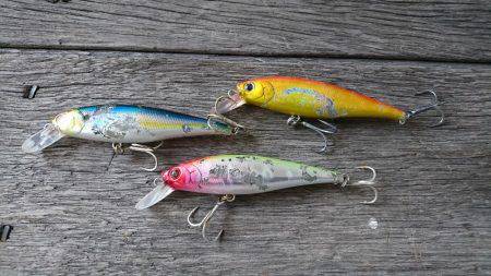 今季初シーバス釣行