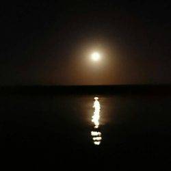 伊根宮津でメバリング