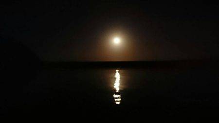 伊根宮津でメバリング