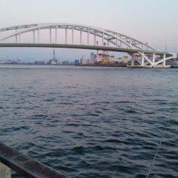 春フィッシュ調査