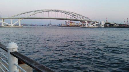 春フィッシュ調査