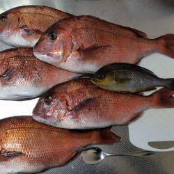 海上釣り堀　田尻　