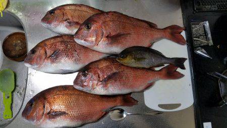 海上釣り堀　田尻　