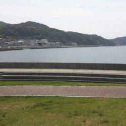 あじんぐのはずが