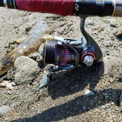 マゴチ釣れたけど・・大事な物を失った