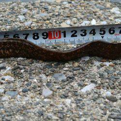 福浦岸壁でブラクリ穴釣り