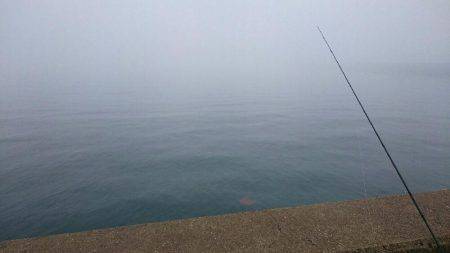 癒しのコウちゃん