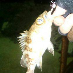 マッチザベイト！