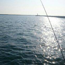 癒し系、コウちゃん