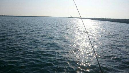 癒し系、コウちゃん