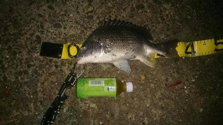 渋いぜチニング。