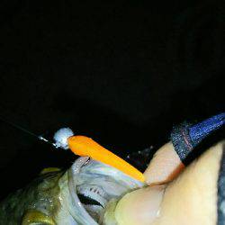 久しぶりに淡路島