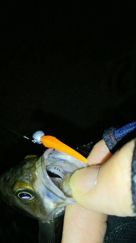 久しぶりに淡路島